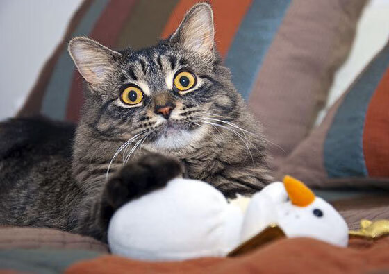 开云网页版登录入口-悬念重重！那些欧冠最扣人心弦的比赛时刻，欧冠史上最经典的比赛