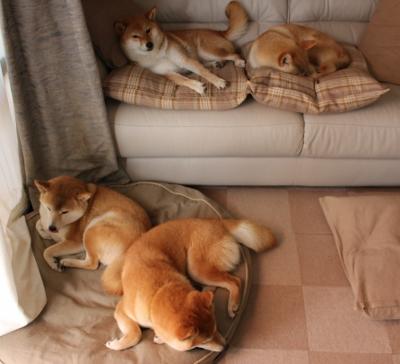 开云体育官网下载安装-【坎坷之路】马克·塞尔比从逆境到巅峰的心路历程,马克塞尔比历史地位