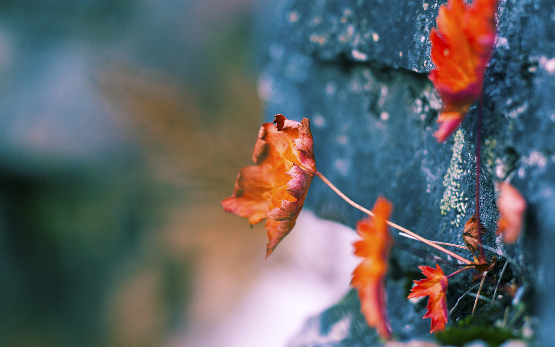 开云体育开云-关键时刻！德甲争冠战最后冲刺进入白热化，德甲榜首大战