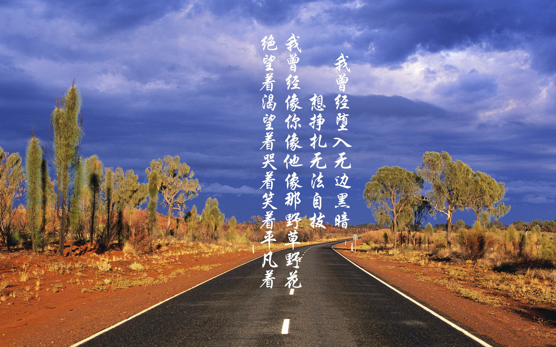 开云全站-室外极限：极地与火山地带的惊人赛站，户外极限运动品牌